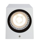 Kinkiety zewnętrzne - Lucide ZARO Ścienna Kierunkowa Biały 1xGU10 Styl Nowoczesny IP44 69800/01/31 - product 4