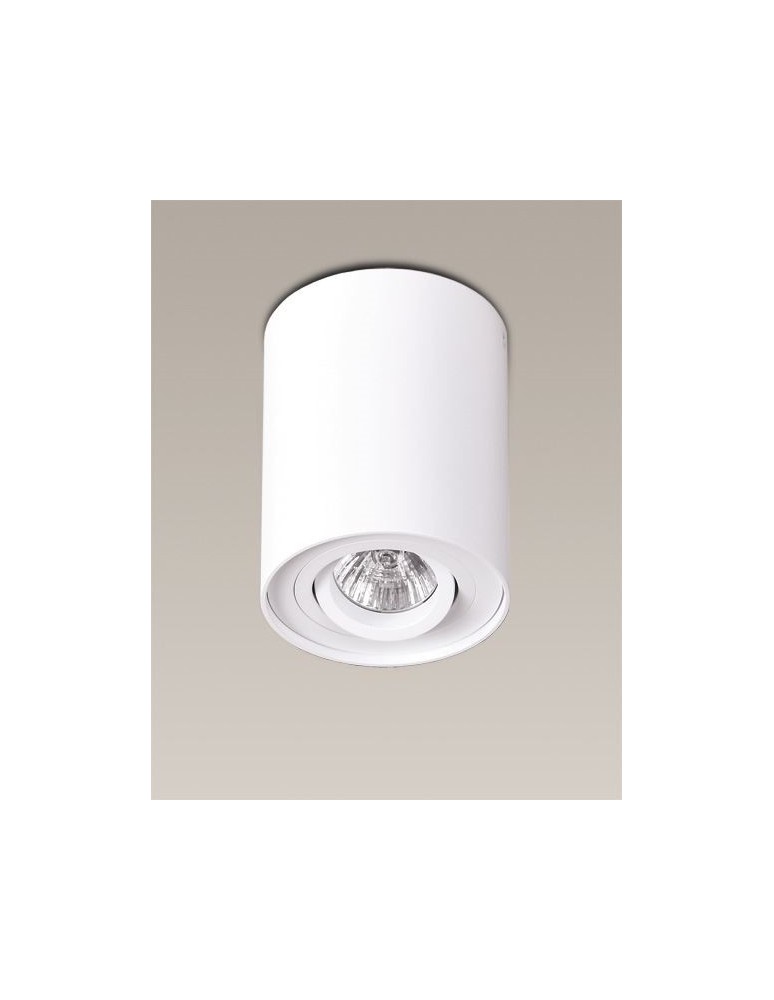 Maxlight Lampa Sufitowa Basic Round Biała C0067