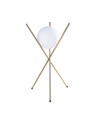 Maxlight Lampa Stołowa Xena T0044