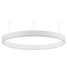 Lampy wiszące LED - Luces Exclusivas JACA Wisząca LED 40W 2800lm 3000K Ściemnialna biały mat LE41416 - product 2