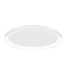 Lampy sufitowe - Luces Exclusivas ROTA Sufitowa LED 30W 1800lm 3000K Ściemnialna biały mat LE41474 - produkt 1