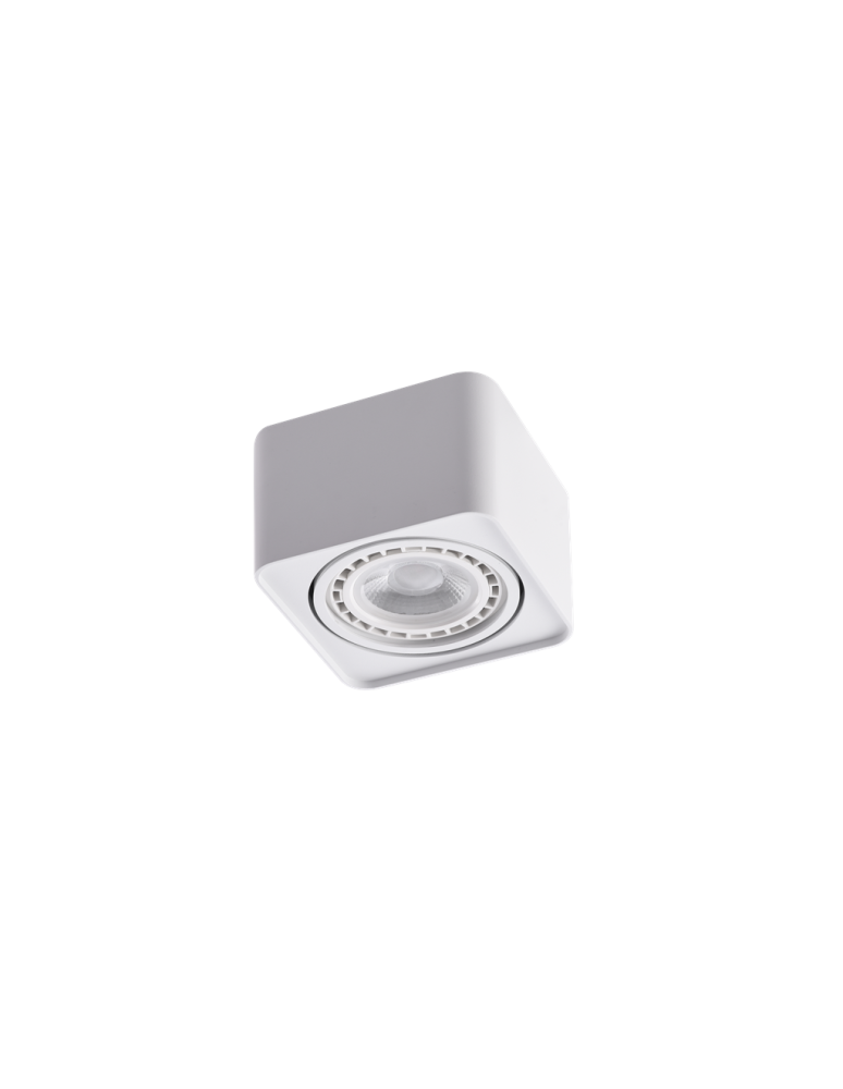 Azzardo PAOLA 1 230V WH 1xES111 Natynkowa Wychylna Biały AZ4128