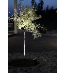 Markslojd GARDEN24 lampy - Markslojd GARDEN 24 Spot 45cm 6W Czarny 106932 - produkt 2