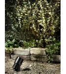 Markslojd GARDEN24 lampy - Markslojd GARDEN 24 Spot 6W Czarny 106930 - produkt 2