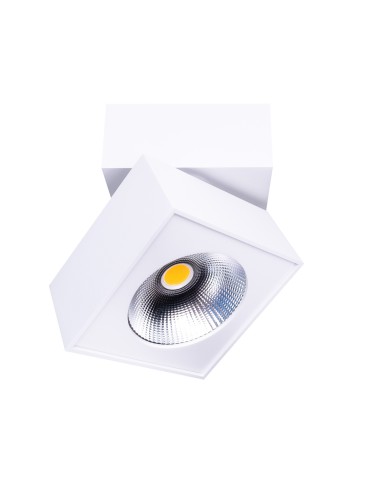 Maxlight Lampa Sufitowa Artu C0106