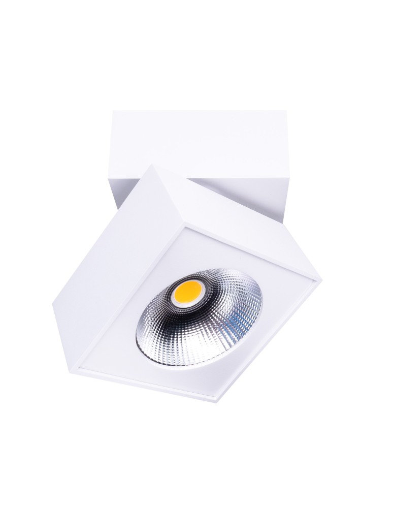 Reflektory LEDowe - Maxlight Lampa Sufitowa Artu C0106 - produkt kolory-swiatla.pl 1