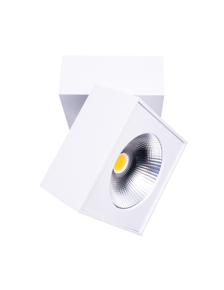 Maxlight Lampa Sufitowa Artu C0106