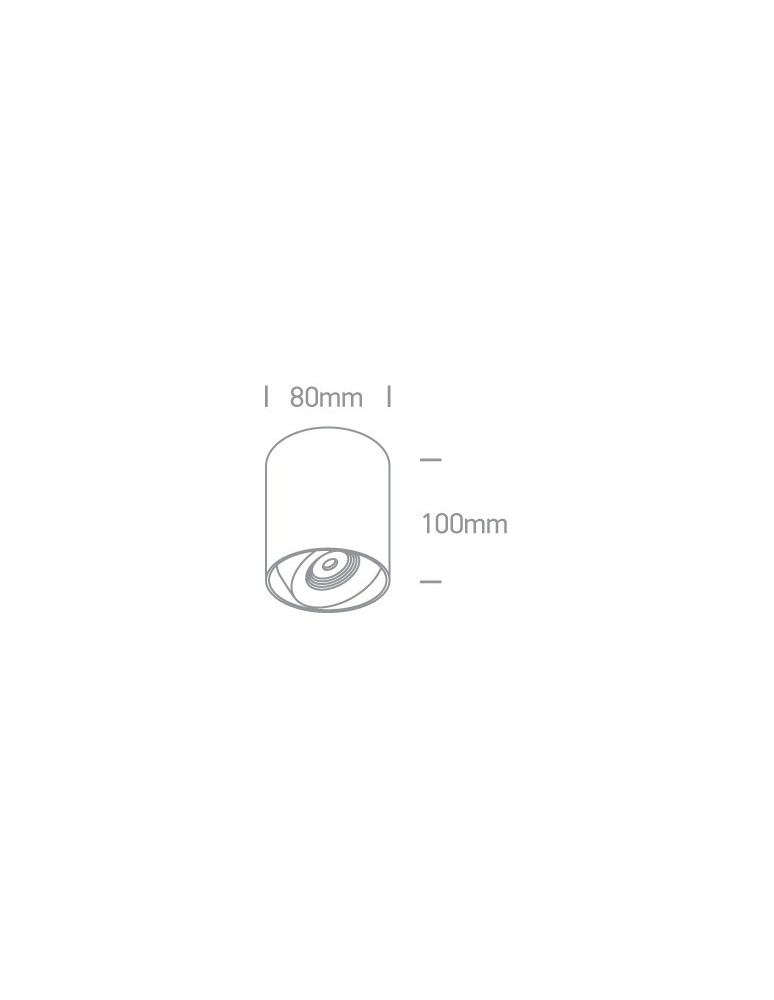 Oprawy sufitowe LEDowe - One Light Lampa sufitowa regulowana Pylos 12108X/W/W - product kolory-swiatla.pl 2