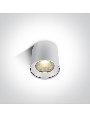 One Light Lampa sufitowa LED deweloper Tembi 12115LA/W/W