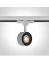 One Light reflektor LED biały 8W Kinigos 65644T/W/W