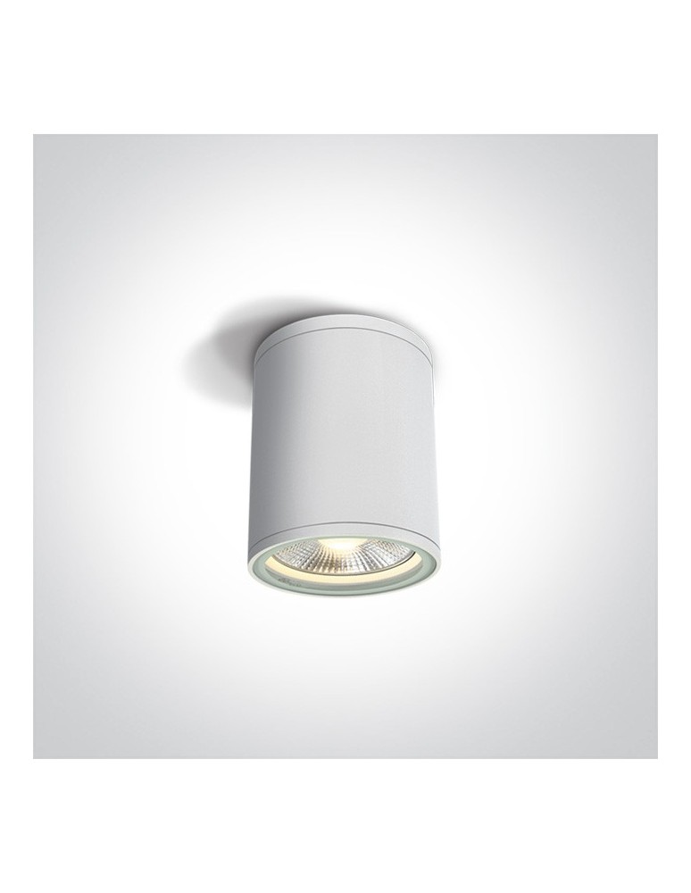 Lampy zewnętrzne sufitowe - One Light lampa sufitowa 75W Stromi S 67132C/W IP54 - produkt kolory-swiatla.pl 1