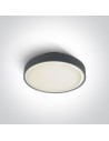 One Light plafon na zewnątrz antracytowy 26cm Rafti 67280E/AN IP65