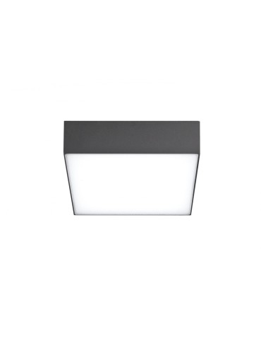 Azzardo CASPER SQUARE IP54 LED 15W 1300lm 4000K Zewnętrzna Ciemny Szary Sufitowa AZ4499