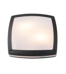 Lampy zewnętrzne sufitowe - Azzardo FANO S 30 IP54 2xE27 Zewnętrzna Ciemny Szary Sufitowa AZ4370 - product 1