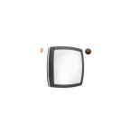 Lampy zewnętrzne sufitowe - Azzardo FANO S 30 IP54 SMART LED RGB 24W 1720lm 2600K-6000K Zewnętrzna Ciemny Szary Sufitowa AZ4787 - product 1