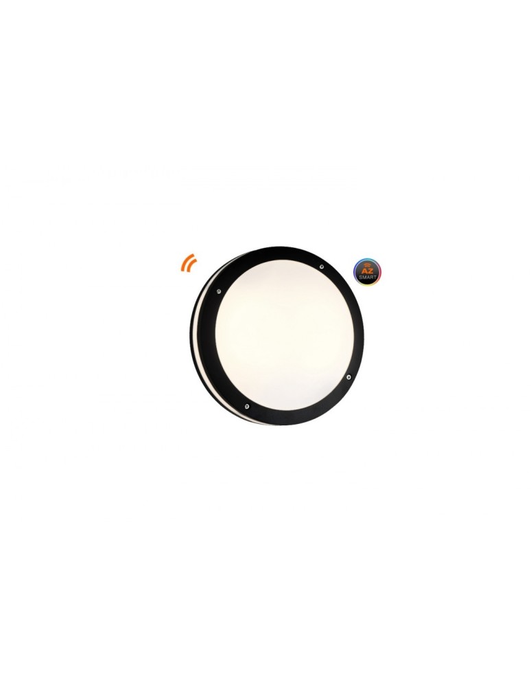 Azzardo FANO R 30 IP54 SMART LED RGB 24W 1720lm 2600K-6000K Zewnętrzna Czarny Sufitowa AZ4783