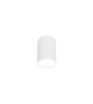 Oprawy sufitowe na wymienne źródło światła - Nowodvorski POINT PLEXI L Spot Natynkowa Max moc 1x20W E27  Biały 6528 - product 1