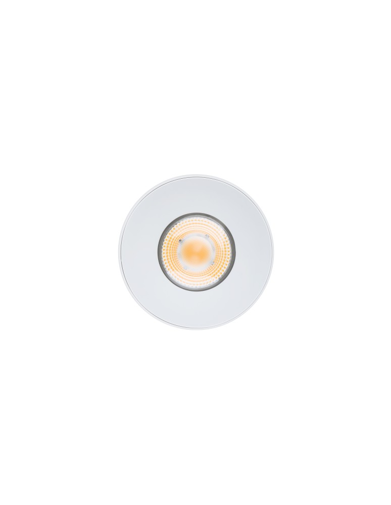 Nowodvorski CL IOS LED 30W 4000K Kąt Świecenia 36 Downlight Natynkowy 1xLED Biały 8730 Nowodvorski CL IOS LED 30W 4000K Kąt Świecenia 36 Downlight Natynkowy 1xLED Biały 8730
