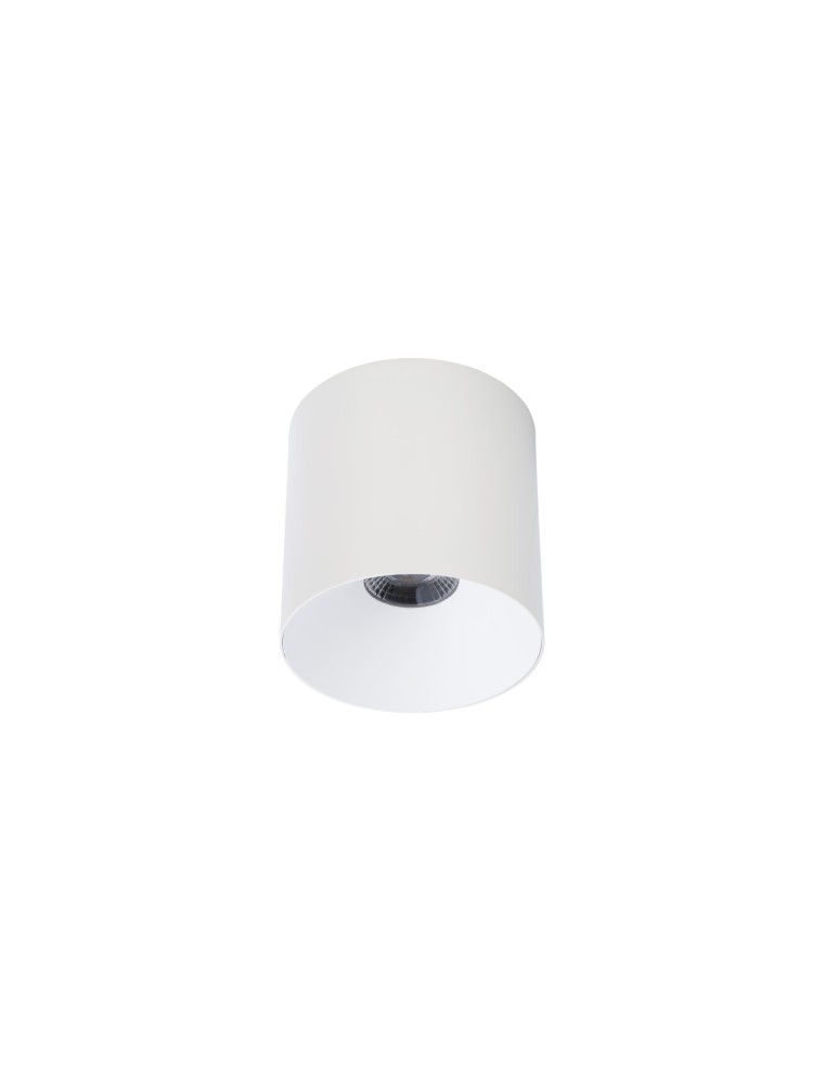 Nowodvorski CL IOS LED 20W 3000K Kąt Świecenia 36 Downlight Natynkowy 1xLED Biały 8740 Nowodvorski CL IOS LED 20W 3000K Kąt Świecenia 36 Downlight Natynkowy 1xLED Biały 8740