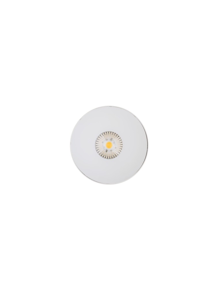 Nowodvorski CL IOS LED 20W 4000K Kąt Świecenia 60 Downlight Natynkowy 1xLED Biały 8743 Nowodvorski CL IOS LED 20W 4000K Kąt Świecenia 60 Downlight Natynkowy 1xLED Biały 8743