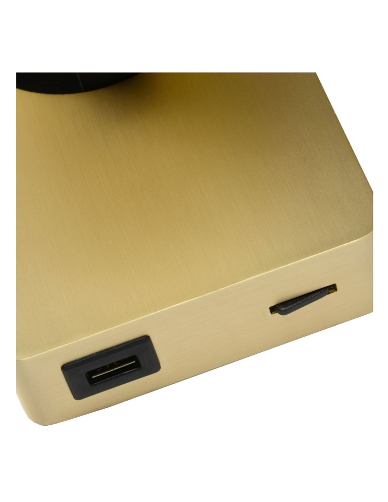 Lucide NIGEL Ścienna Reflektorowa LED GU10 1x5W 2200-3000K z gniazdem USB Złoty Matowy/Mosiądz 09929/06/02