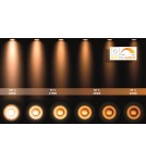 Lampy sufitowe reflektory - Lucide NIGEL Sufitowa Reflektorowa LED GU10 3x5W 2200-3000K Złoty Matowy/Mosiądz 09929/15/02 - produkt 7