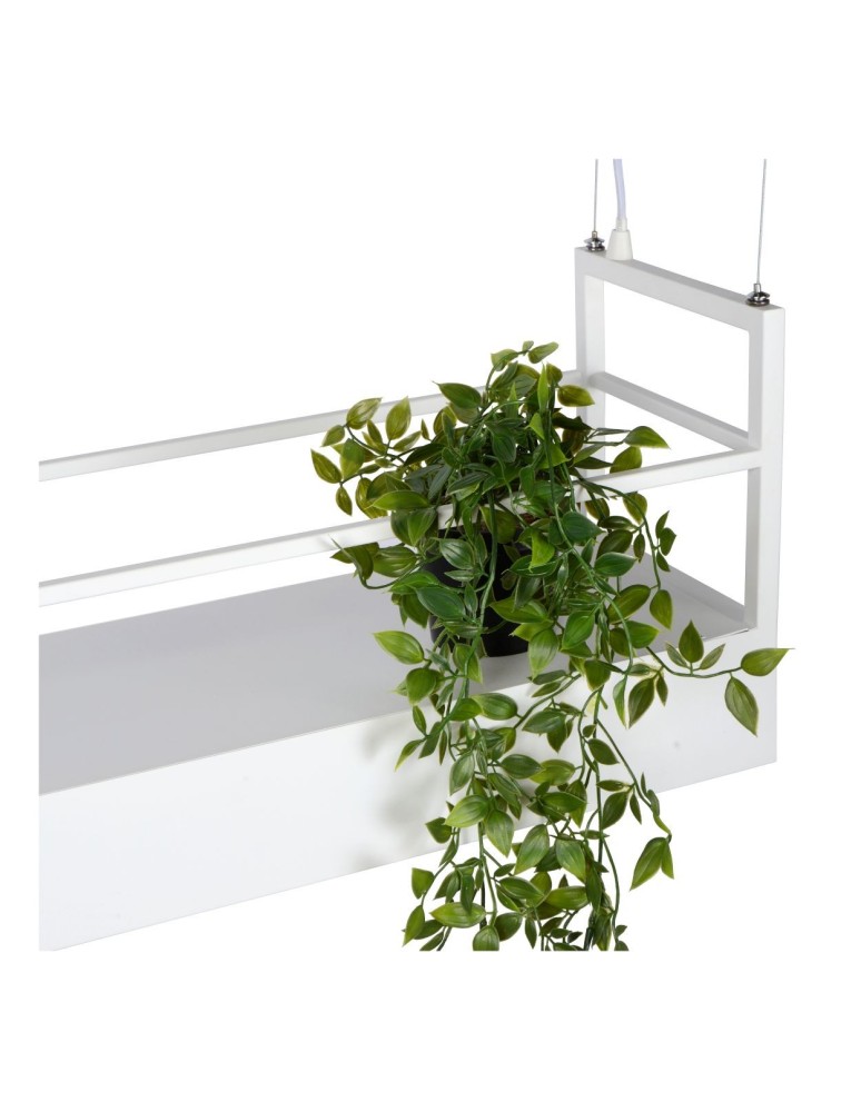 Lucide MIRAVELLE Wisząca GU10 6x40W Biały 21427/06/31