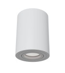 Maytoni Alfa 1xGU10 50W sufitowa C016CL-01W biały Maytoni Alfa 1xGU10 50W sufitowa C016CL-01W biały