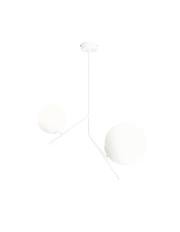 ALDEX PLAFON GALLIA 2 BIAŁY, 1 x max 40W / 1 x max 60W (1095PL_H)
