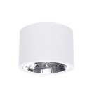 Oprawy sufitowe na wymienne źródło światła - Light Prestige Camino oprawa natynkowa biała LP-1101/1SM WH 1xQR111 biały - product 1