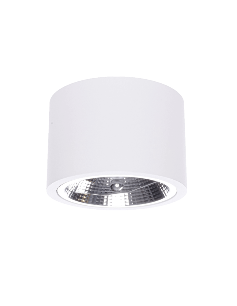 Light Prestige Camino oprawa natynkowa biała LP-1101/1SM WH 1xQR111 biały