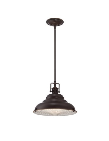 Quoizel EASTVALE 1x60W E27 QZ/EASTVALE/P/M Wisząca