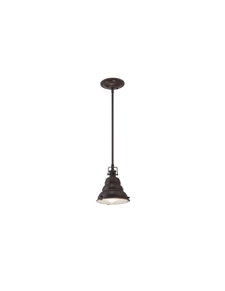 Lampy wiszące - Quoizel EASTVALE 1x60W E27 QZ/EASTVALE/P/S Wisząca - produkt kolory-swiatla.pl 1