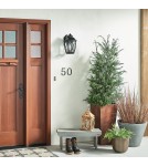 Kinkiety zewnętrzne - Elstead TANGIER Kinkiet E27 1x60W IP44 Antyczny Brąz KL-TANGIER2-M - product 2