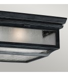 Lampy zewnętrzne sufitowe - Elstead SHEPHERD Plafon E27 2x75W IP44 Cynkowy FE-SHEPHERD-F - product 3