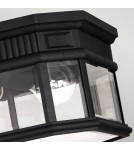 Lampy zewnętrzne sufitowe - Elstead COTSWOLD LANE Plafon E27 2x60W IP44 Czarny FE-COTSLN-F-BK - product 3
