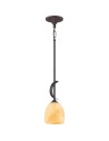 Quoizel Salzburg Wisząca E27 1xMAX 60W Brązowy QZS-TST2520C
