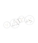 Lampy sufitowe nowoczesne - TRIO GROOVY Sufitowa LED 1x37W 4000K 4800lm Ściemnialna biały 642110431 - product 2