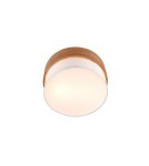 Lampy sufitowe boho - TRIO SEASONS Sufitowa E14 2x40W Ściemnialna srebrny 611500201 - product 2