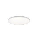 Lampy sufitowe - TRIO LIMBUS Sufitowa LED 1x34W 4000K 4100lm Ściemnialna biały R67021931 - product 1