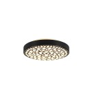 Lampy sufitowe - TRIO CHIZU Sufitowa LED 1x22W 2700 - 6000K 2500lm Ściemnialna czarny R67161132 - product 2