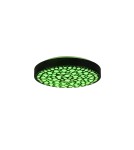 Lampy sufitowe - TRIO CHIZU Sufitowa LED 1x22W 2700 - 6000K 2500lm Ściemnialna czarny R67161132 - product 5