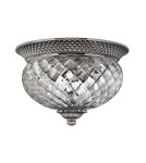 Lampy sufitowe - Hinkley PLANTATION 2x60W E27 HK/PLANT/F/S PL Plafon - product 1