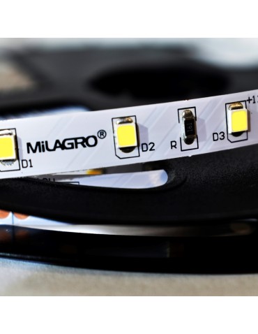 Milagro Taśma Pro 60 LED 24W 6000K IP20 5m ML4747