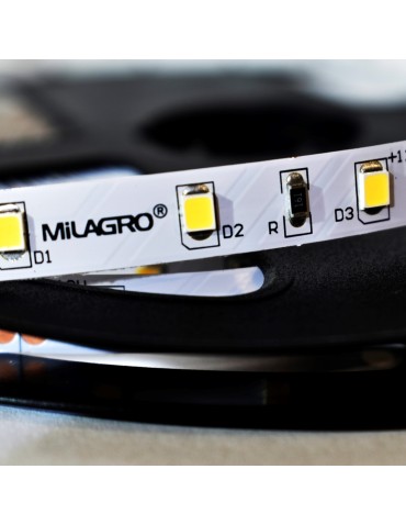 Milagro Taśma Pro 60 LED 24W 4000K IP20 5m ML4748