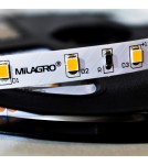 Milagro Taśma Pro 60 LED 24W 3000K IP20 5m ML4749 Milagro Taśma Pro 60 LED 24W 3000K IP20 5m ML4749