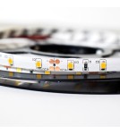 Milagro Taśma Pro 60 LED 24W 3000K IP65 5m ML4752 Milagro Taśma Pro 60 LED 24W 3000K IP65 5m ML4752