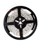 Milagro Taśma Pro 60 LED 24W 3000K IP65 5m ML4752 Milagro Taśma Pro 60 LED 24W 3000K IP65 5m ML4752