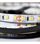 Milagro Taśma Pro 120 LED 48W 4000K IP20 5m ML4754 Milagro Taśma Pro 120 LED 48W 4000K IP20 5m ML4754