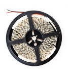 Milagro Taśma Pro 120 LED 48W 6000K IP65 5m ML4756 Milagro Taśma Pro 120 LED 48W 6000K IP65 5m ML4756